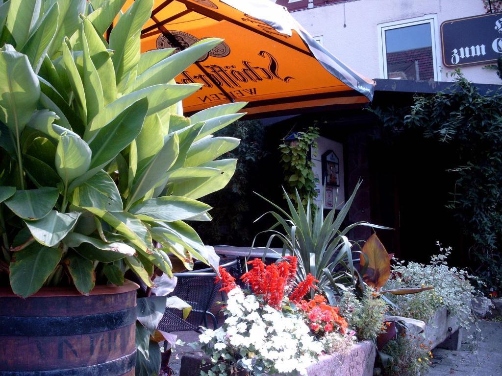 Fritz'Es Goldener Stern Hotel Schauenburg Kültér fotó